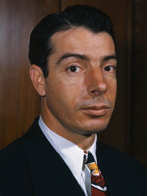 Joe Dimaggio Baseball Player