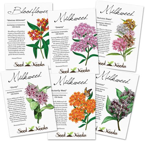 Check out our swamp milkweed container plant selection for the very best in unique or custom, handmade pieces from our craft supplies & tools shops. Milkweed Seed Packet Assortment (6 Individual Packages ...