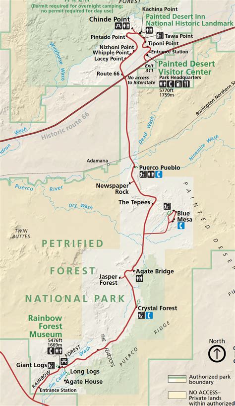 Petrified Forest National Park Map World Map