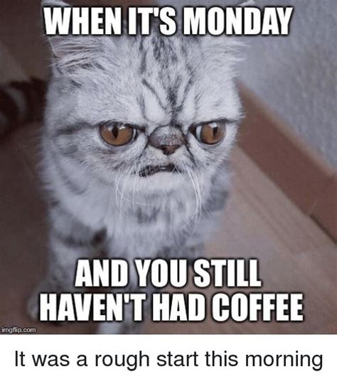 Image Result For Monday Coffee Cat Monday Humor Monday Coffee
