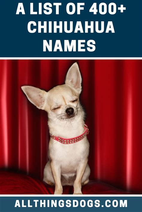Most Popular Dog Names Artofit