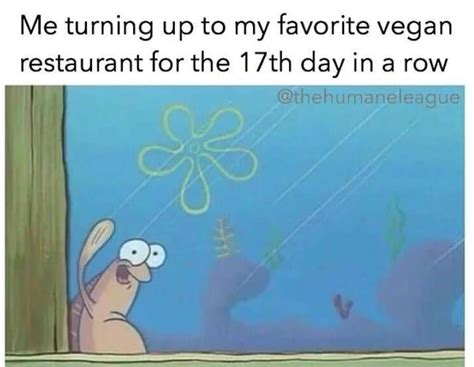Dinner Restaurants Vegan Restaurants Extra Credit 17 Day Spongebob