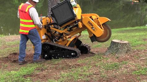 If you have trees on your property, sooner or later, you will need to call someone to care for your trees. Choosing a Stump Grinder: to Buy or Not to Buy | Stump grinder