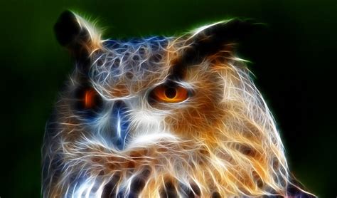 Owl In Fractalius Owl Fractal Art Owl Photos