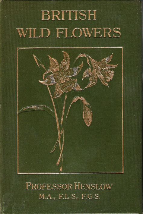 British Wild Flowers To Their Natural Colours And Form Text By The Rev