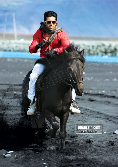 Ram Charans Horse In Subhalekha Song Naayak Telugu Cinema News