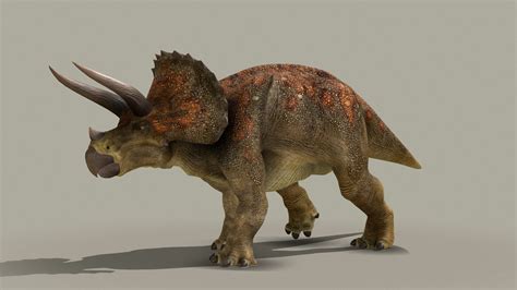 Triceratops Horridus Buy Royalty Free 3d Model By Kyan0s 4cdcba9