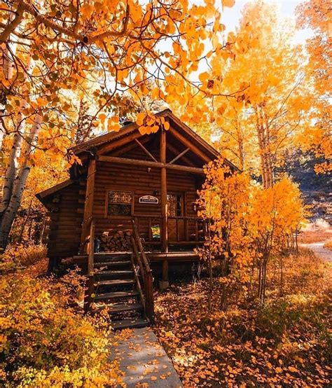 Autumn Cabin Log Cabinlife Thelogcabin Mountain Life Wild Adventure