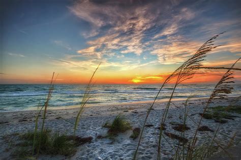 Sunset And Sea Oats Photograph By Ronald Kotinsky Fine Art America