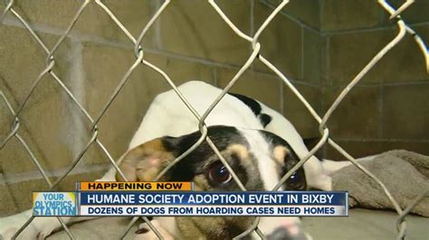 Tulsa Humane Society Holds A Pet Adoption Event In Bixby Youtube