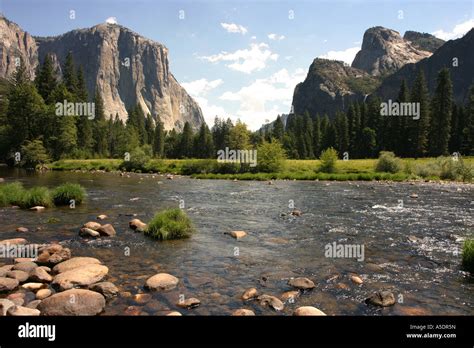 A View Across The Merced River To El Capitaine And Half Dome Yosemite