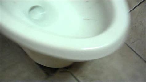 Briggs Toilet With Double Flush Youtube