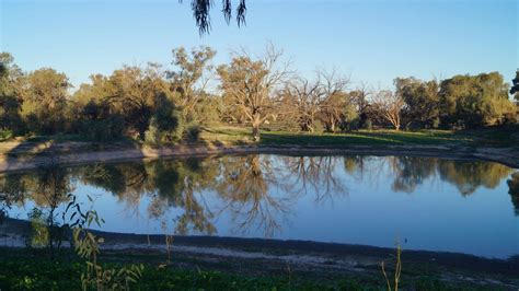 Check spelling or type a new query. Charlie's Travels: Wilcannia - White Cliffs - Cobar