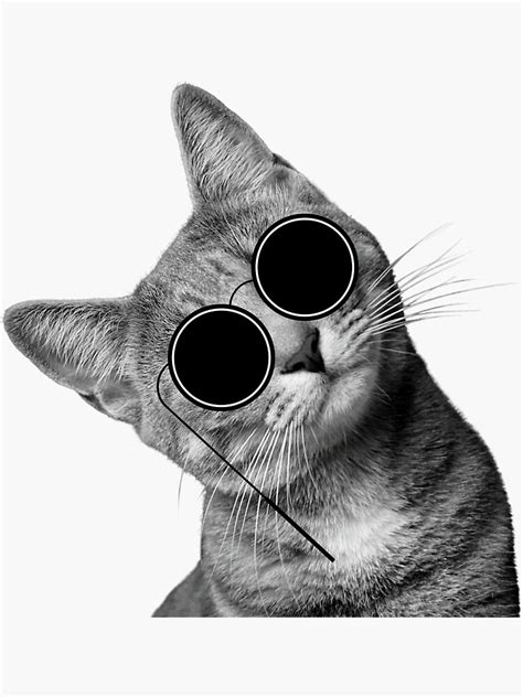 cat judging cat with glasses sticker for sale by themgbernay redbubble