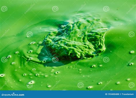 Environmental Water Pollution Stock Photo Image Of Waste Harmful