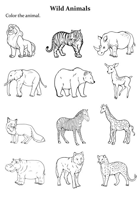 Group Of Wild Animals Coloring Pages