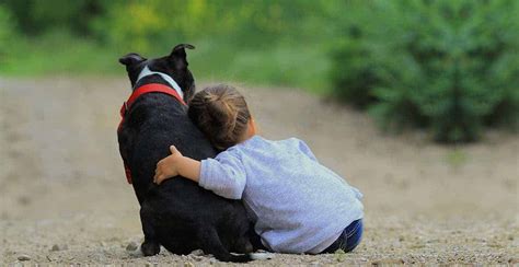 5 Mejores Razas De Perros Para Niños Con Autismo Cvclavoz