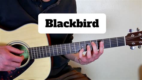 Blackbird Guitar Lesson Youtube
