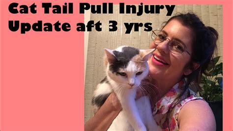 If your cat comes home and will not lift his tail or it seems bent or broken. CAT TAIL PULL INJURY IMPROVES after 3 Years! Miracle! Cat ...