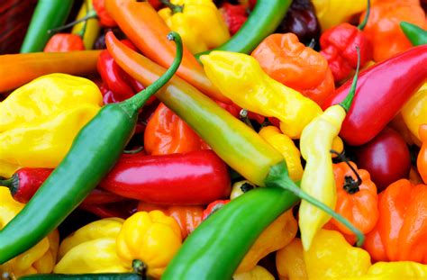 Wobbly Boots Roadhouse 5 Health Benefits Of Spicy Foods