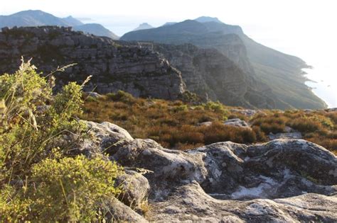 Table Mountain The Ultimate Guide To Table Mountain Secret Cape Town