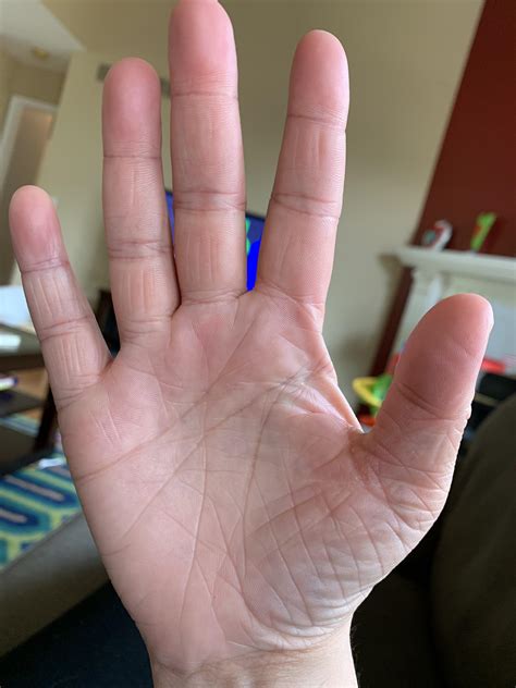 35 Yo Female Right Handy My Last Palm Reading Resulted In The Reader
