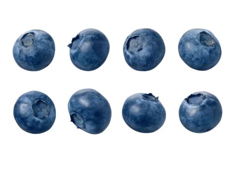 Download Blueberrys Variations Png Image For Free