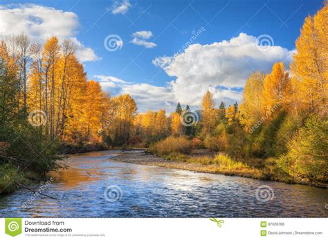 Fall Colors On Snoqualmie River Stock Photo Image Of Snoqualmie