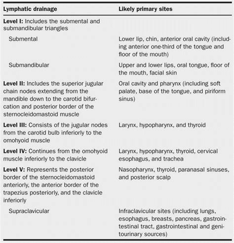 Lymph Node Levels Of Neck Epomedicine