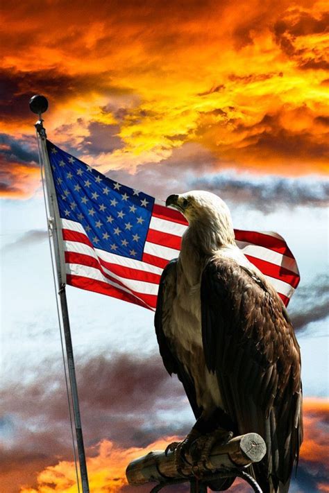 It symbolizes the people, their courage if you are interested in presenting them with a beautiful image of the american flag, this post will. America the Beautiful | America, I love america, American