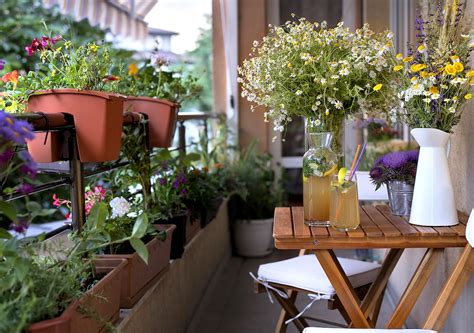 Best Plants For Balcony Cheapest Sale Save 59 Jlcatjgobmx
