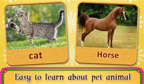 Real Pet Animal Sounds Apk For Android Download