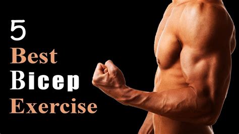 Best Bicep Exercises For Beginners Bicep Workout No Equipment No Gym YouTube