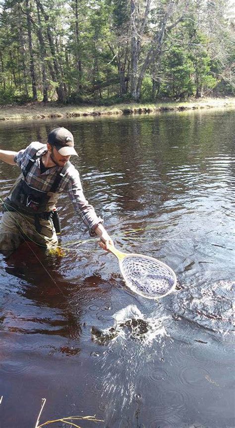 How To Plan Your Brook Trout Adventure In Nova Scotia ...