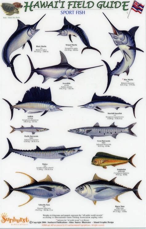 Hawaii Field Guides Sport Fish English Hawaiian Nhbs Field