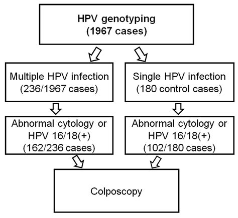 Viruses Free Full Text Multiple Human Papilloma Virus Hpv