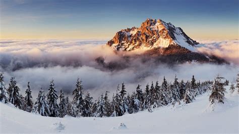 Slovakia 4k 5k Wallpaper 8k Mountains Fog Pines Snow Horizontal