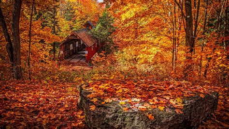 Covered Bridge In Autumn Forest Image Id 251217 Image Abyss