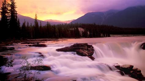 Jasper National Park Alberta Canada Nature Wallpaper Фиолетовый
