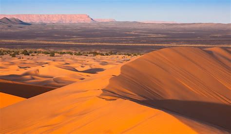 Sahara synonyms, sahara pronunciation, sahara translation, english dictionary definition of sahara. What Was The Sahara Before It Was A Desert? - WorldAtlas.com