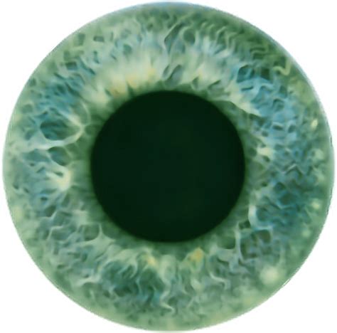 Eye Lense Green Greeneye Contactlens Sticker By Sudneh