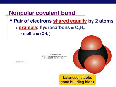 The bonding electrons in polar covalent bonds are not shared equally, and a bond moment results. PPT - The Chemistry of Life PowerPoint Presentation, free download - ID:3978572