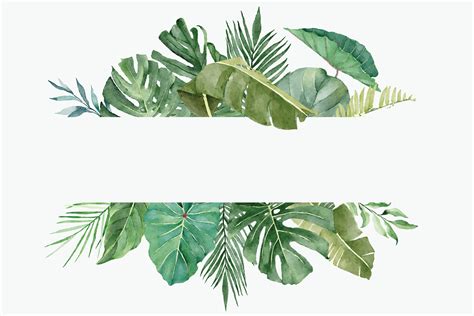 watercolor frame with beautiful tropical exotic leaves 7421992 vector art at vecteezy