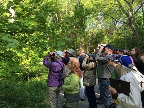 Bird Walk May Arboretum Park Conservancy