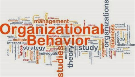 What Is Organizational Behavior Education
