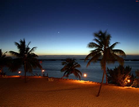 Morze Noc Plaża Palmy