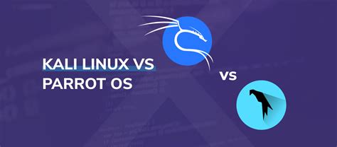 Kali Linux Vs Parrot Os Which Pentesting Distro Is Best