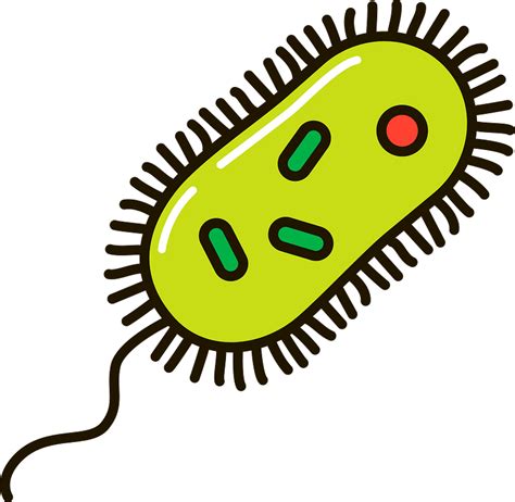 Imagens De Bacterias Png Gifs E Imagens Animadas