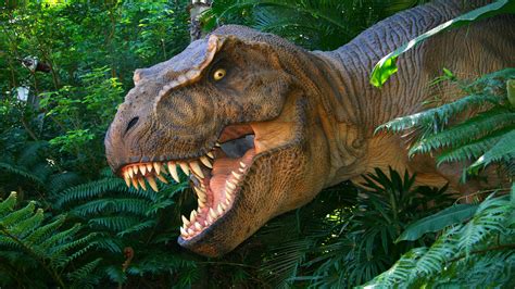 Dinosaurs Tyrannosaurus Rex Lost World Of Animals From The Past Hd
