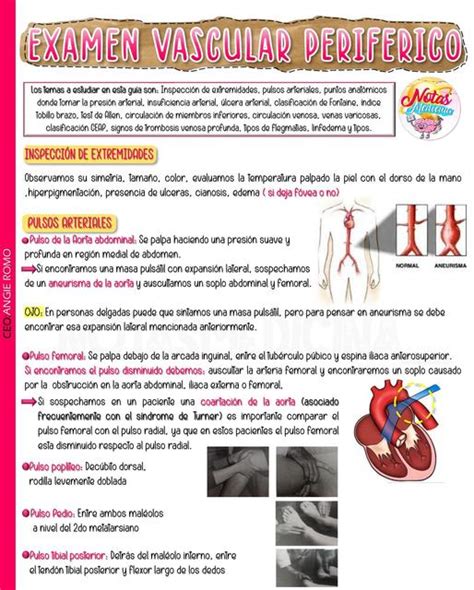 Examen Del Sistema Vascular Periférico Semiología Cardiovascular